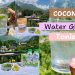 coconut glow drink